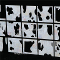 CANOSA concha vaca artesanía pared marco